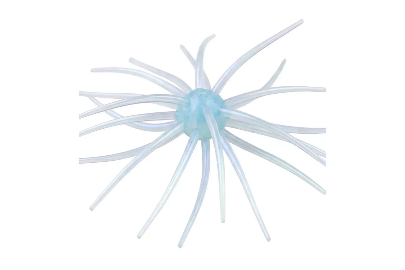 HAGS Prickly Pear Big Tex 25MM Urchin Bait